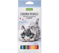 Цветные карандаши Hatber ECO 12 цв., Кошарики 074000