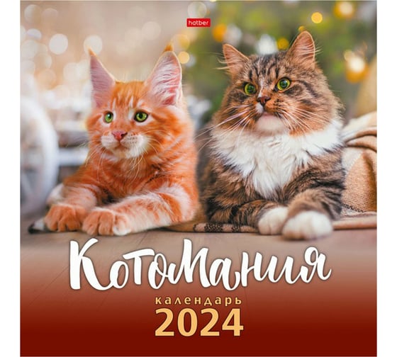 Настенный перекидной календарь Hatber 6 л, 30x30 см, эконом, мелованная бумага, КотоМания 081138