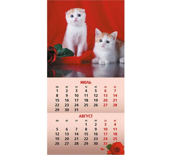 Настенный перекидной календарь Hatber 6 л, 30x30 см, эконом, мелованная бумага, КотоМания 081138