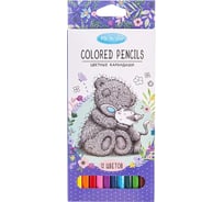 Цветные карандаши Hatber ECO 12 цв., MeToYou 068409