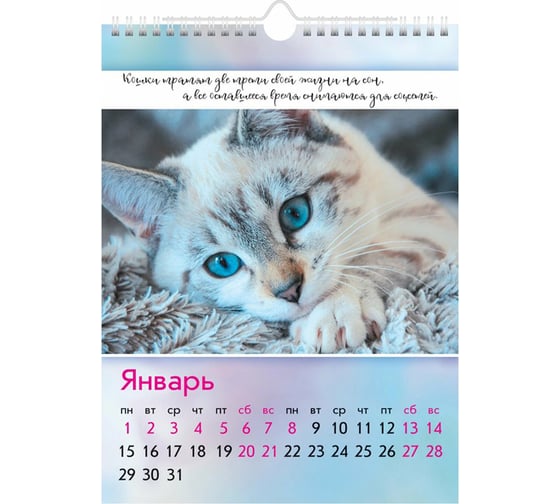 Настенный перекидной календарь Hatber 22x30 см, мини, мелованная бумага, Пушистые истории, 1 шт. 081636