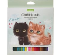 Цветные карандаши Hatber ECO 24 цв., Кошарики 074002