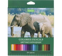 Цветные карандаши Hatber ECO 24 цв., Дикая планета 070638