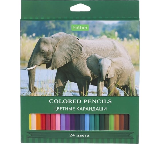 Цветные карандаши Hatber ECO 24 цв., Дикая планета 070638 1