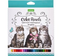 Цветные карандаши Hatber ECO 24 цв., Верные друзья 068384