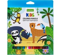 Цветные карандаши Hatber ECO 24 цв., Африка 078352