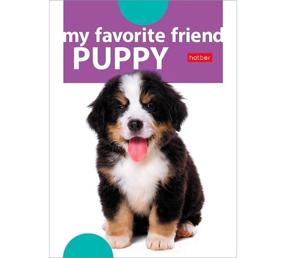 Блокнот Hatber Наши друзья 24 л, А6, клетка, обложка мелованная бумага, ламинация, 150 шт в упаковке 04614 1