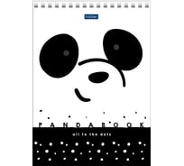 Блокнот Hatber Premium Panda 60 л, А5, 70 г/кв.м, в точечку, обложка мелованный картон, УФ-лак, 64 шт в упаковке 060362