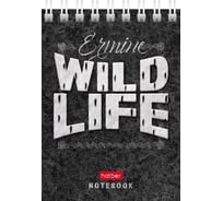Блокнот Hatber Wild Life 60 л, А7, клетка, 65 г/кв.м, обложка мелованный картон, 78 шт в упаковке 081163