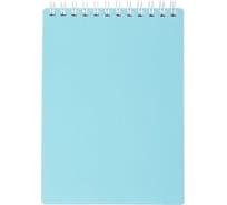 Блокнот Hatber Premium NEWtone PASTEL Незабудка 80 л, А6, клетка, бумага офсетная, 80 г/кв.м, запечатанный титульный лист, 48 шт в упаковке 065598