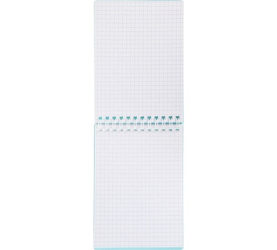 Блокнот Hatber Premium NEWtone PASTEL Незабудка 80 л, А6, клетка, бумага офсетная, 80 г/кв.м, запечатанный титульный лист, 48 шт в упаковке 065598