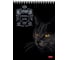 Блокнот Hatber Royal Cats 80 л, А5, клетка, матовая ламинация, 3D фольга, 4 шт в упаковке 066435 2