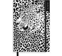 Бизнес-блокнот Феникс+ А5, ГЕПАРД 51533