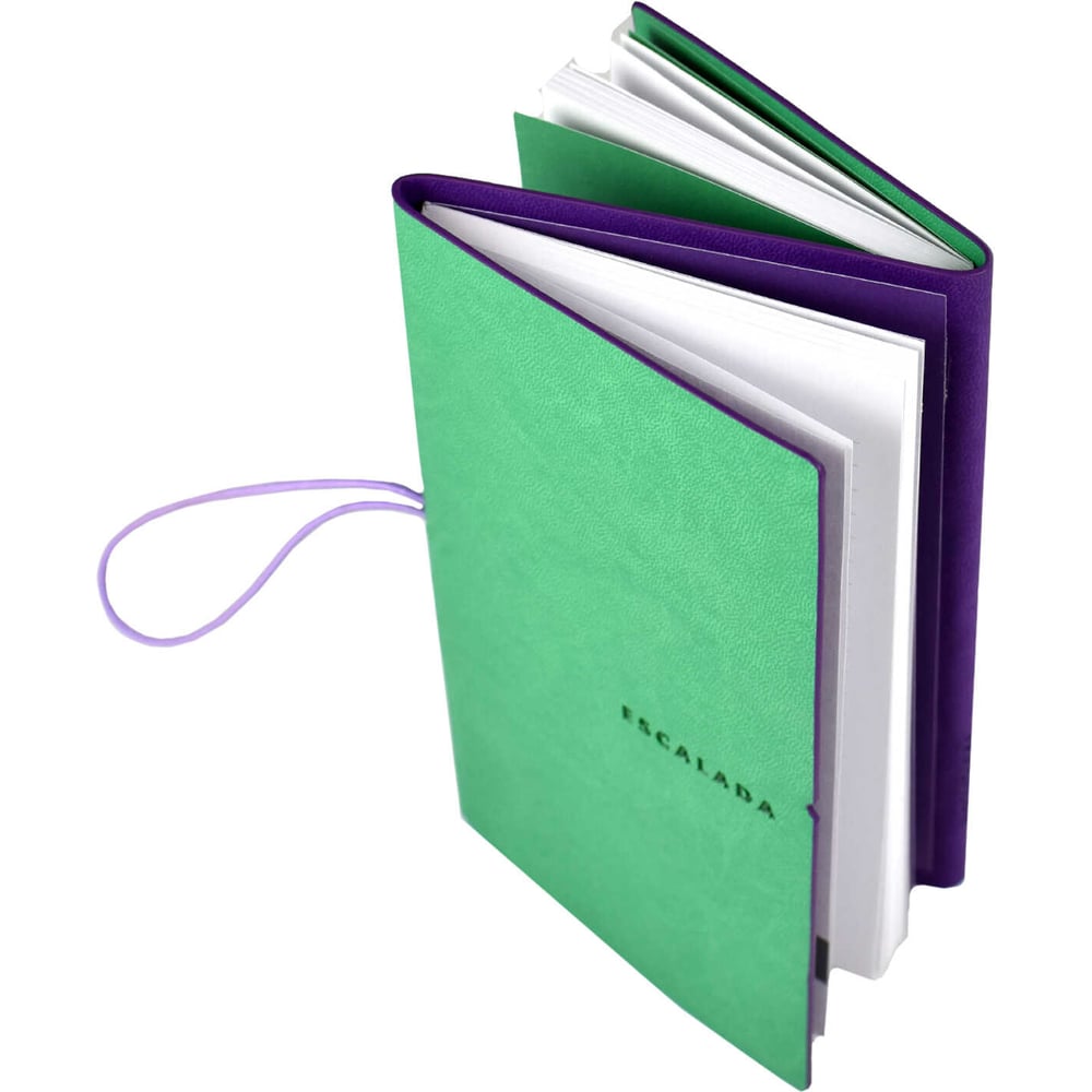 Записная книжка 2 в 1 Феникс + ESCALADA, А6, 128 л, Виннер зеленый ...
