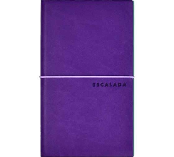 Записная книжка 2 в 1 Феникс + ESCALADA, А6, 128 л, Виннер зеленый, Виннер фиолетовый 64060