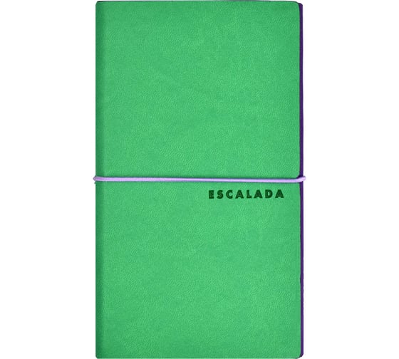 Записная книжка 2 в 1 Феникс + ESCALADA, А6, 128 л, Виннер зеленый, Виннер фиолетовый 64060