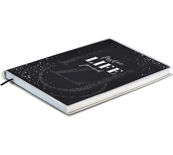 Записная книжка Феникс + Мысли позитивно! ESCALADA, А6+, 96 л, прозрачный ПВХ, черный 60795