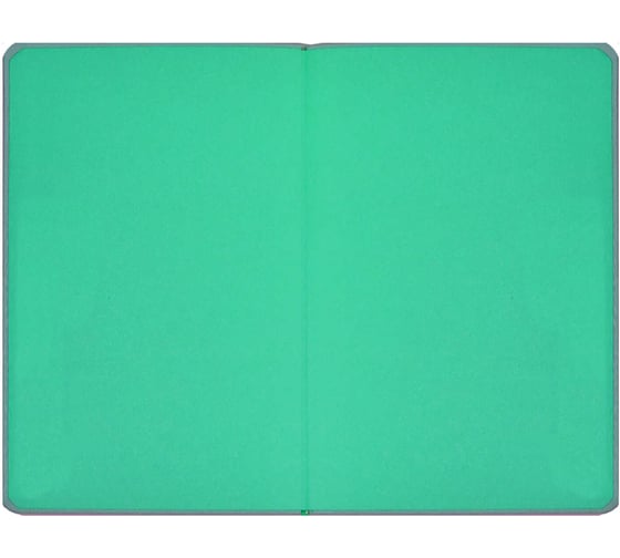 Записная книжка Феникс+ ESCALADA, А6, 96 л, ПЛОНЖЕ РОЗОВЫЙ 64061
