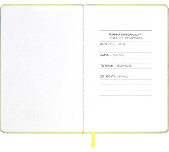 Записная книжка Феникс+ ESCALADA, А6, 96 л, ПЛОНЖЕ СИРЕНЕВЫЙ 64062