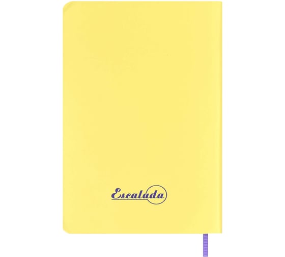 Записная книжка Феникс+ ESCALADA, А6, 96 л, ПЛОТНЫЙ ЖЁЛТЫЙ 64064