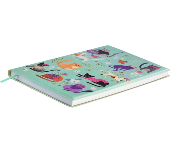 Записная книжка Феникс+ ESCALADA, А6+, 96 л, КОТЫ 60801