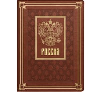 Папка для документов Феникс+ ESCALADA, А4+, САРИФ, коричневый 64077