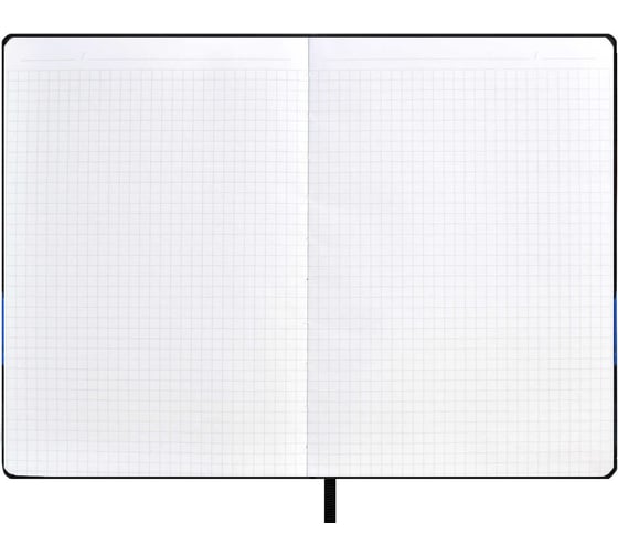 Записная книга на резинке Феникс + А5, 96 л, черный/синий 57334