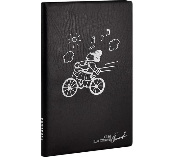 Записная книжка Феникс+ А6+, С ВЕТЕРКОМ 58215