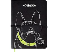 Записная книжка Феникс+ А6+, БУЛЬДОГ 58516