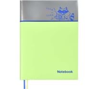 Записная книжка Феникс+ А6+, ЕНОТ 52523