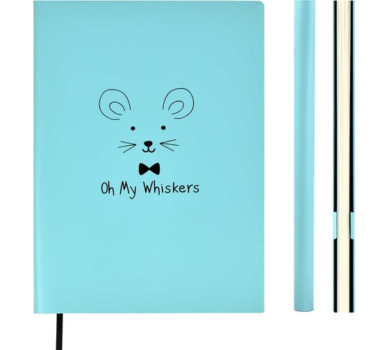 Записная книжка Феникс+ А6+, МЫШКА 52531