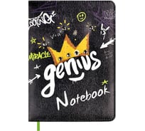 Записная книжка Феникс+ А6+, 80 л, ГЕНИЙ 61813