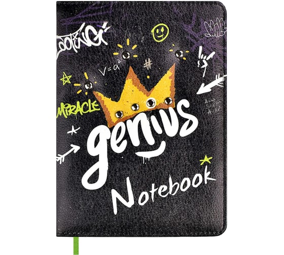 Записная книжка Феникс+ А6+, 80 л, ГЕНИЙ 61813