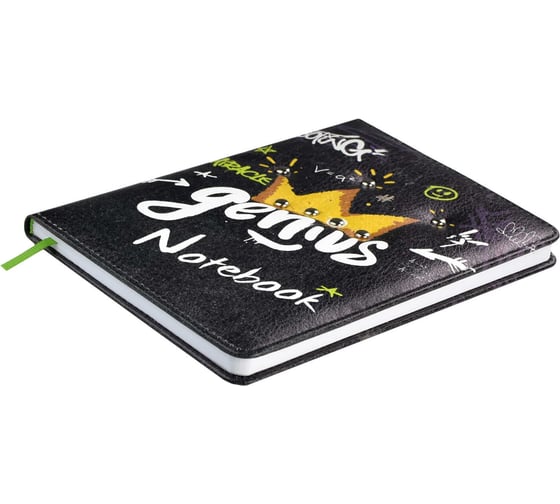 Записная книжка Феникс+ А6+, 80 л, ГЕНИЙ 61813