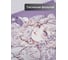 Книга для записей listoff КЗФ6804091 4