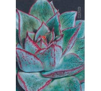 Книга для записей listoff ЕТИЛ680616