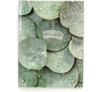 Книга для записей listoff КЗ6804081