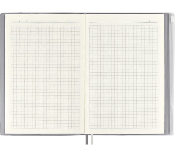 Записная книжка Феникс+ СЕРЕБРЯНЫЙ 96 л 54293