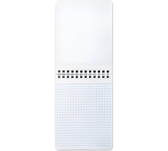 Блокнот BRAUBERG Малый Формат 108x145 мм А6, 40 листов, гребень, картон, клетка, Милые котята 114391