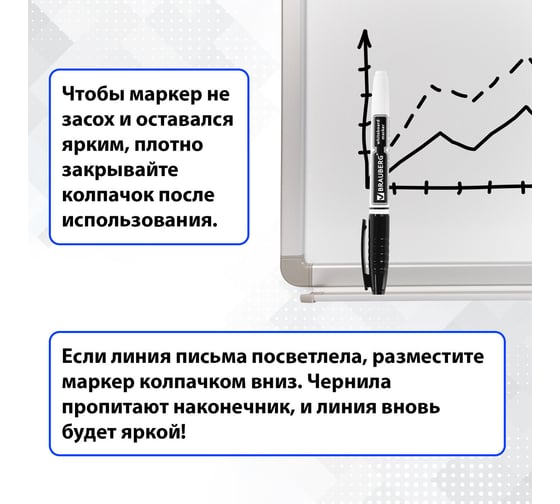 Стираемый маркер для белой доски BRAUBERG черный, комплект 12 штук, линия 4 мм 880461