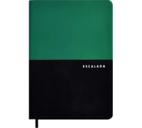 Записная книжка Феникс+ А5,ТЕРМОХРОМ ЗЕЛЁНЫЙ + ВЕЛЮР ЧЁРНЫЙ 57563