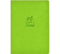 Записная книжка Феникс+ А5+, ШАГРЕНЬ ЗЕЛЁНЫЙ С АРОМАТОМ ЯБЛОКО 52903