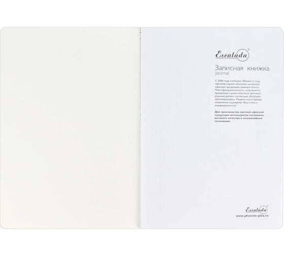 Записная книжка Феникс+ А5+, ШАГРЕНЬ КОРИЧНЕВЫЙ С АРОМАТОМ КОФЕ 52901
