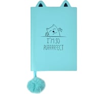 Записная книжка Феникс+ А6, КОТИК 52536