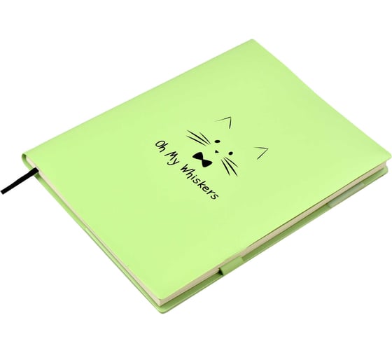 Записная книжка Феникс+ А6+, КОТ 52533