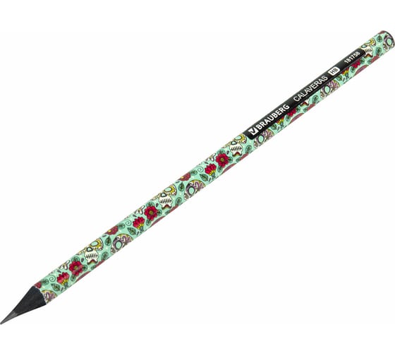 Чернографитный карандаш BRAUBERG hb, calaveras, выгодный комплект 72 штуки, корпус ассорти 880756