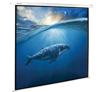 Проекционный экран BRAUBERG MOTO 236733