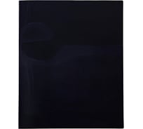 Пластиковая папка Hatber 10 вкладышей А4 корешок 9 мм LINE 500 мкм Черная, 50шт. 036966