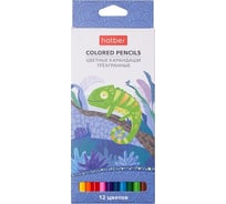 Цветные карандаши Hatber трехгранный корпус, 12 цв., COLORA 063837