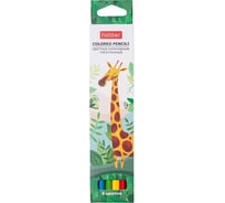 Цветные карандаши Hatber трехгранный корпус, 6 цв., COLORA 063836